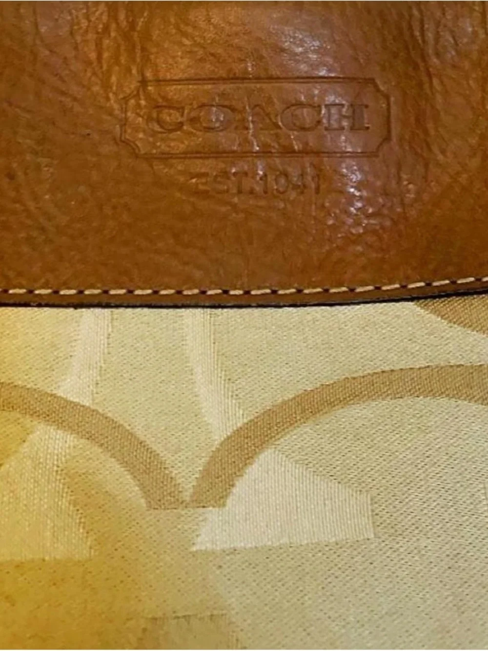 Coach ultimate y2k
